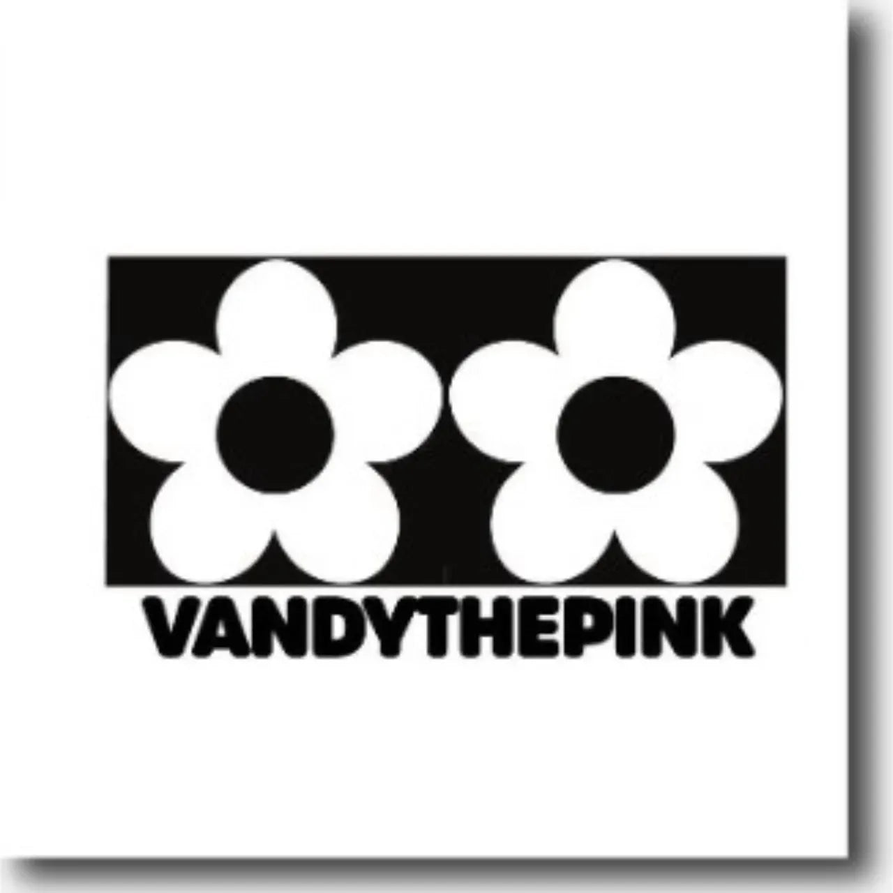 VANDY THE PINK