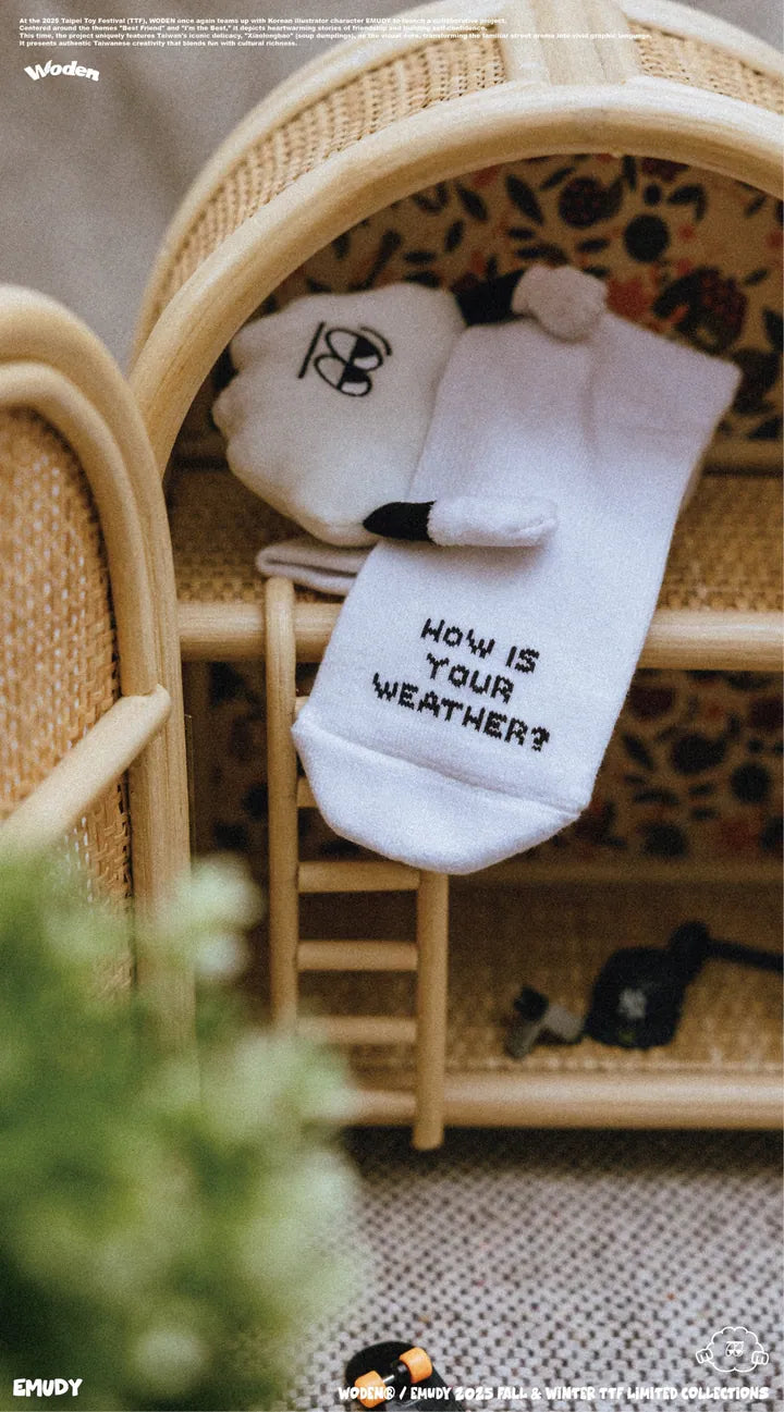 WODEN / EMUDY/ Faam 2025 Fall & Winter 015 TTF SOCK & PLUSH SET