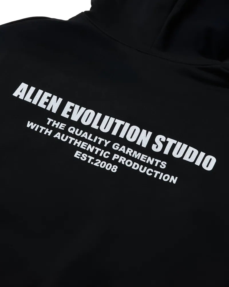 AES Embroidered Skull Logo Hoodie