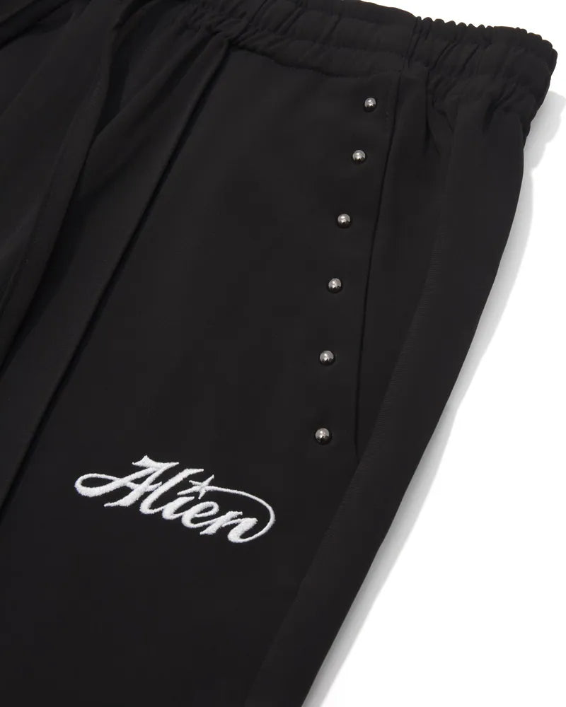 AES ALIEN STAR FLARED PANTS