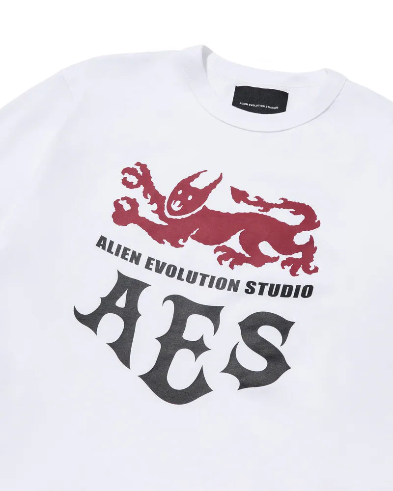 AES BEASTS OF MEDIEVAL FANTASY TEE