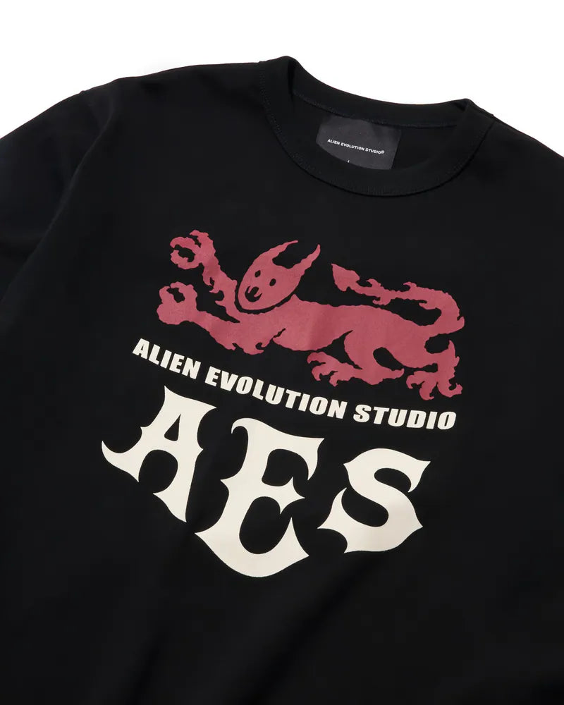 AES BEASTS OF MEDIEVAL FANTASY TEE