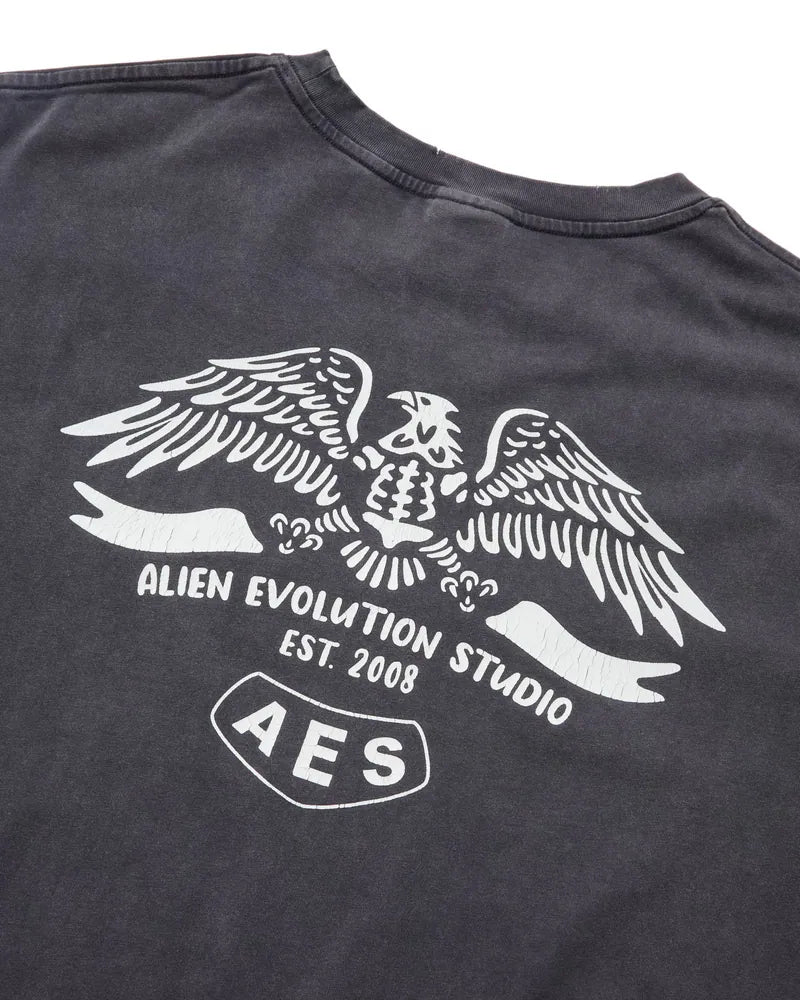 AES Skull Eagle Totem Vintage Washed Oversize Tee