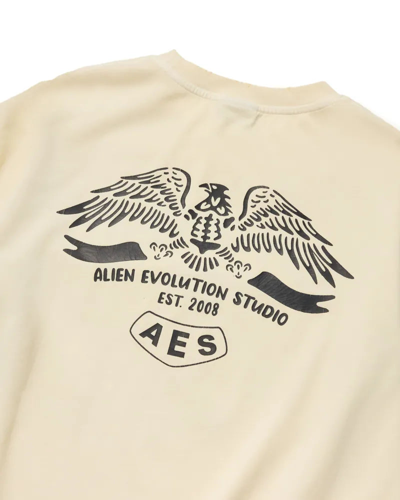 AES Skull Eagle Totem Vintage Washed Oversize Tee