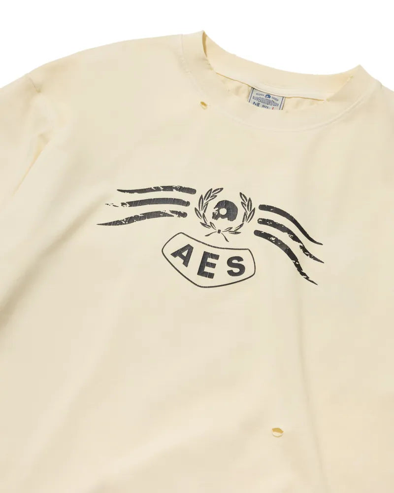 AES Skull Eagle Totem Vintage Washed Oversize Tee