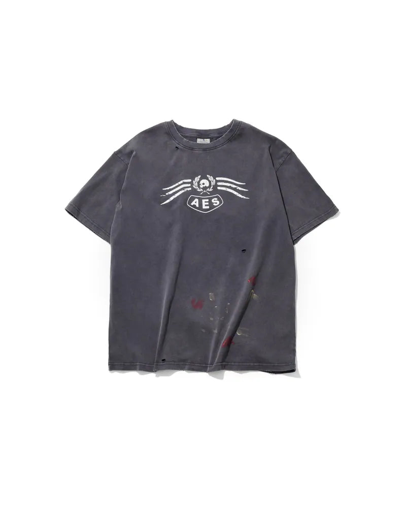 AES Skull Eagle Totem Vintage Washed Oversize Tee