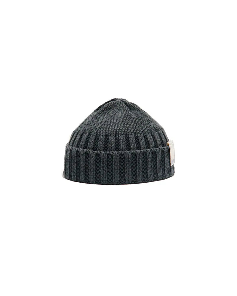 The H.W.Dog D-01100 RC WATCH