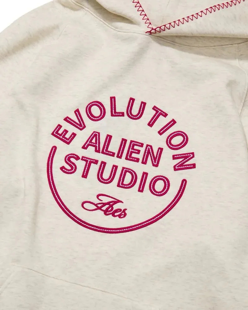 AES Applique Embroidery Hoodie