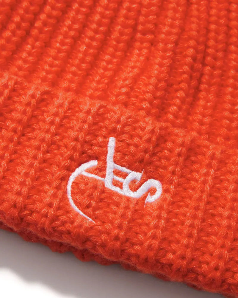 AES Classic Logo Beanie