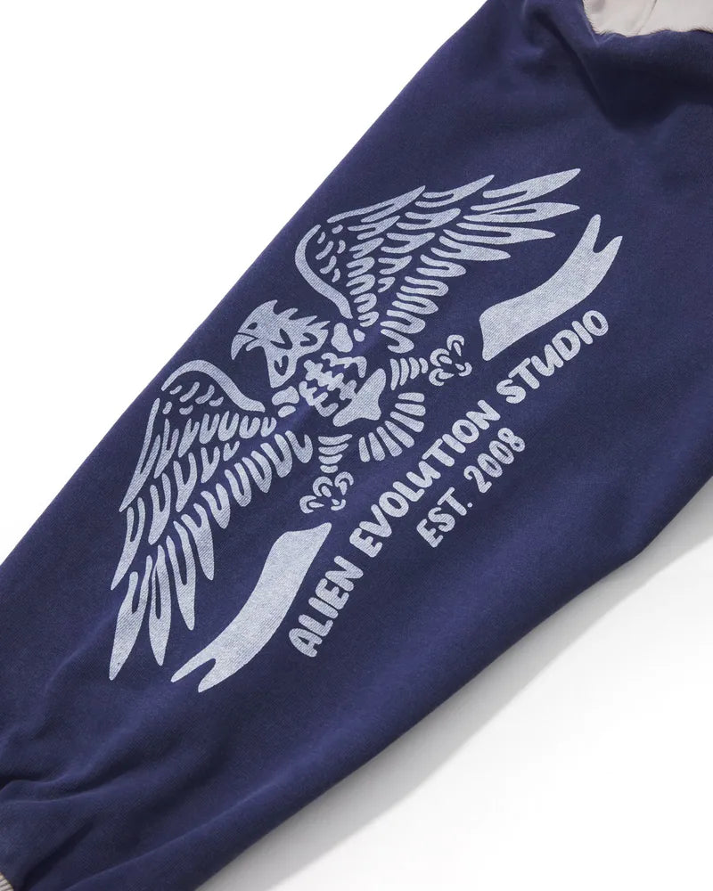AES Bald Eagle Washed Zip Up Hoodie